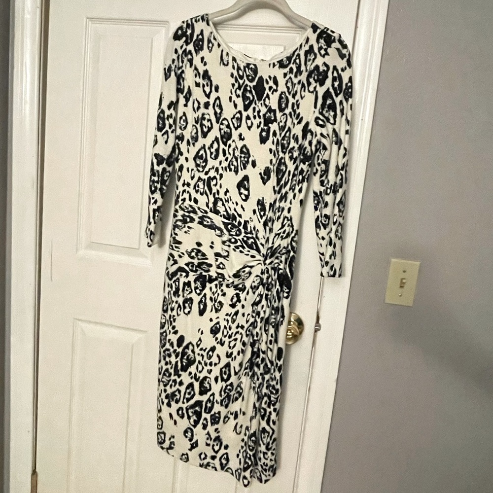 Lined Sweater Dress.
